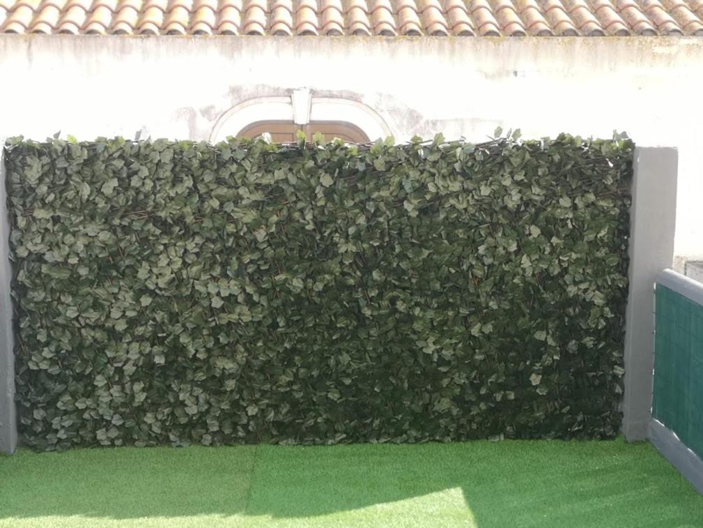 Residencial S Juliao Al Hotell Figueira da Foz Eksteriør bilde
